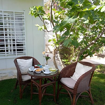迦太基Au Bout Du Jardin别墅 外观 照片