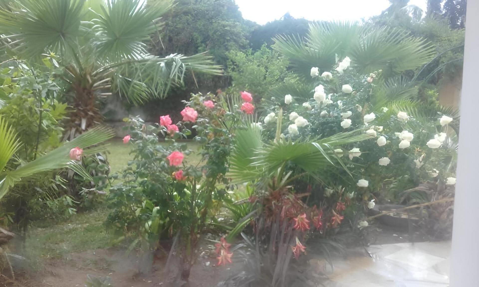 迦太基Au Bout Du Jardin别墅 外观 照片
